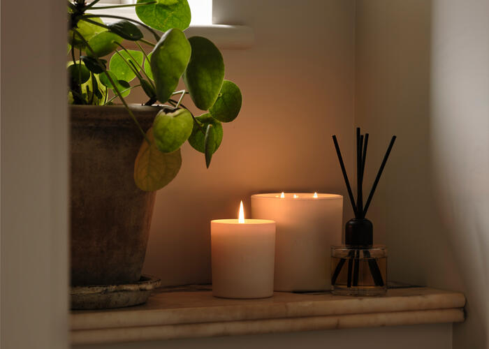 Everything you need for ‘back to school’ season