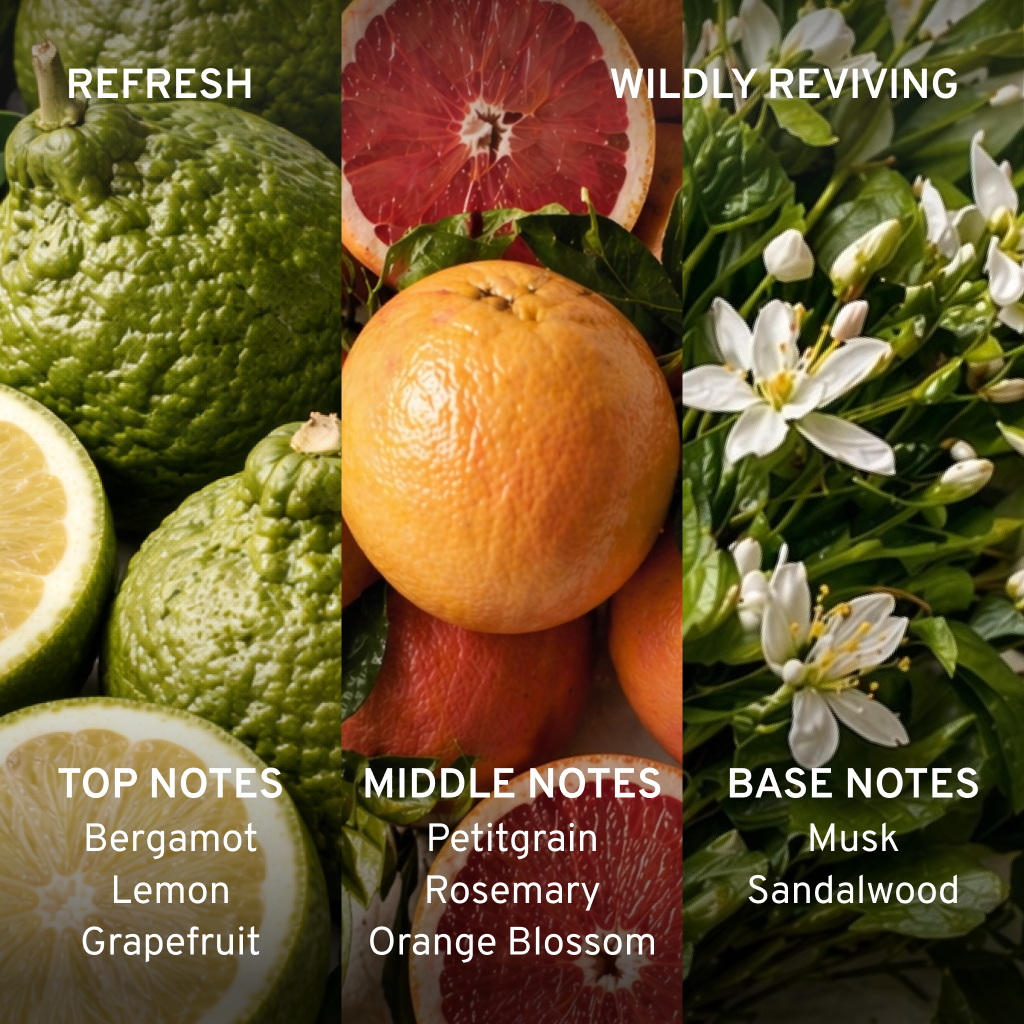 Fruits and flowers with labels for top, middle, and base notes of Cowshed Refresh Hand cream