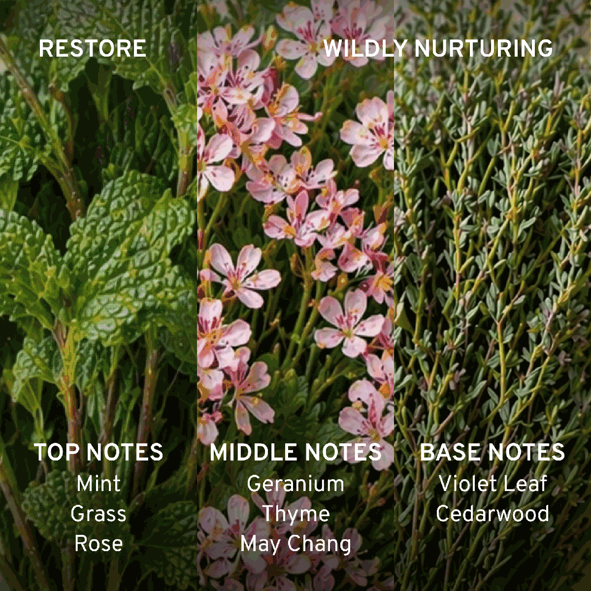 House Proud Set - Mint, Lavender