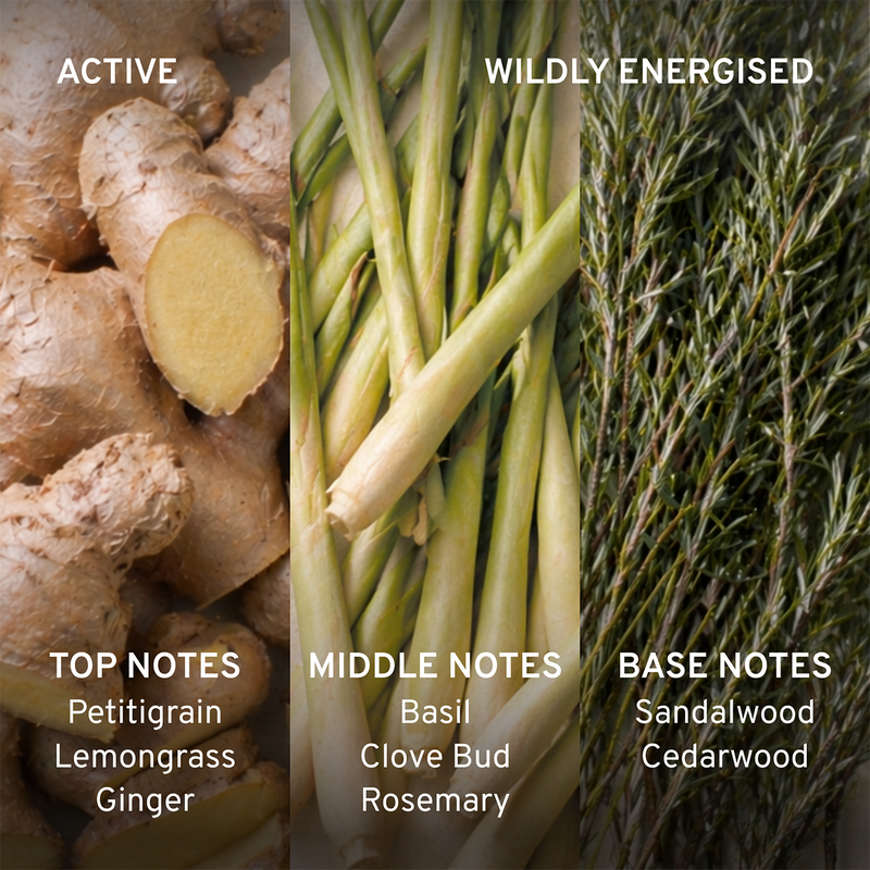 Cowshed Active Fragrance Ginger, basil & sandalwood with labels for top, middle, and base notes in a split-view format.