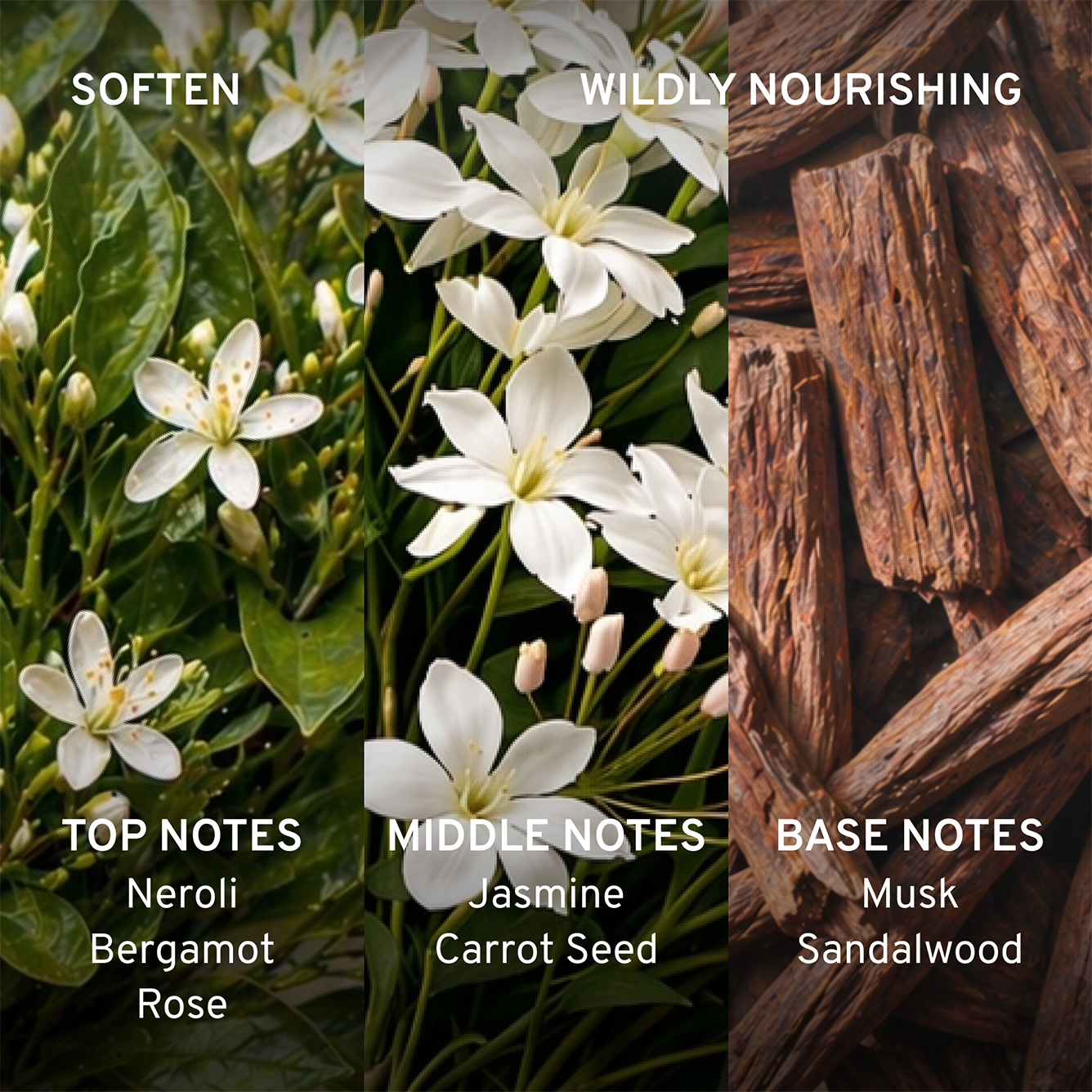 Floral and woodsy elements with notes labeled for a fragrance description.