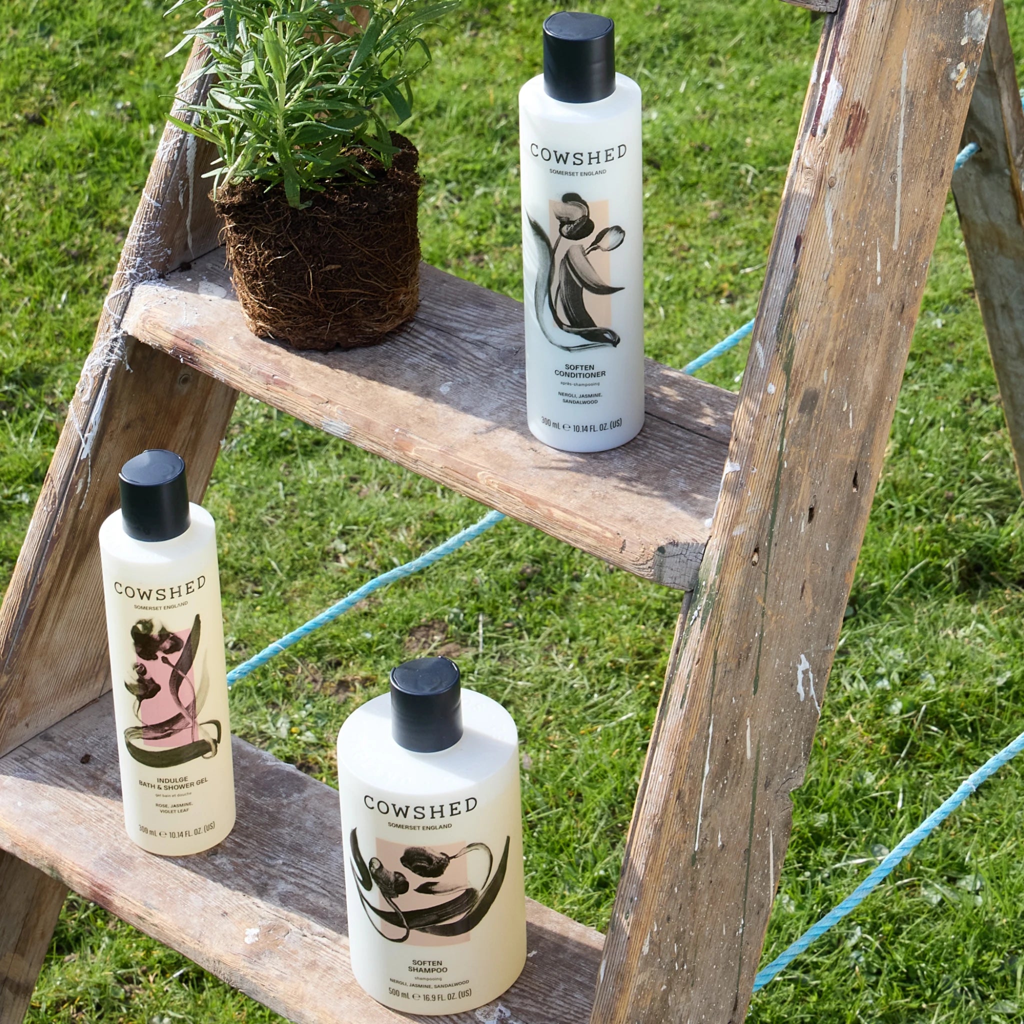 Three bottles of Cowshed products on a wooden ladder outdoors.