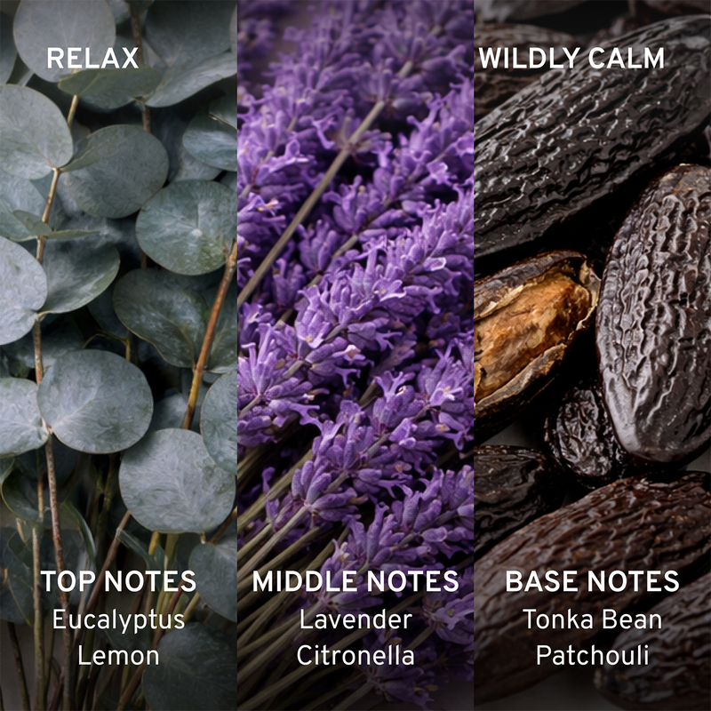A split image showing eucalyptus leaves labeled 'Top Notes' and lavender with tonka beans labeled 'Base Notes', with text indicating relaxation and calmness.