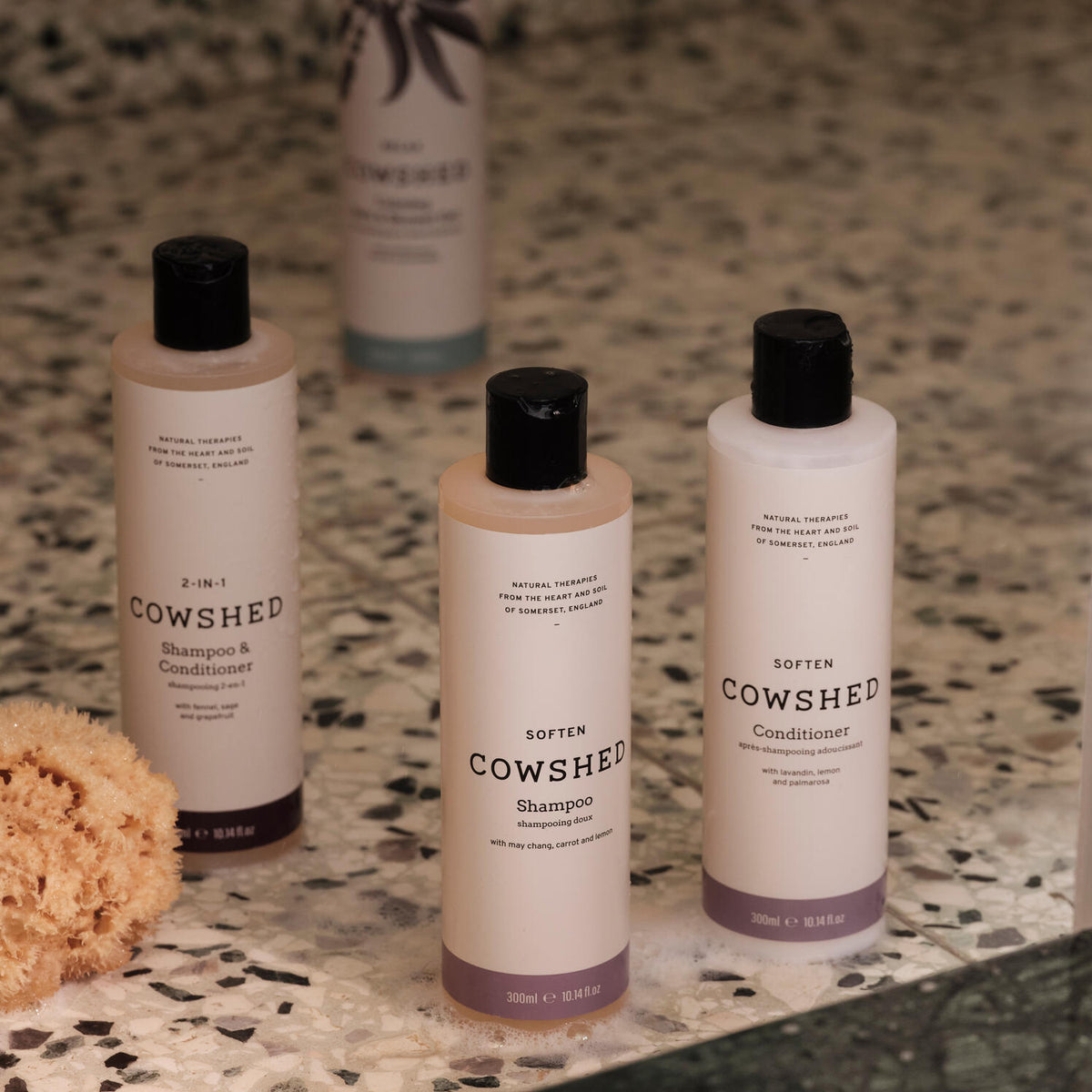 Soften Shampoo
