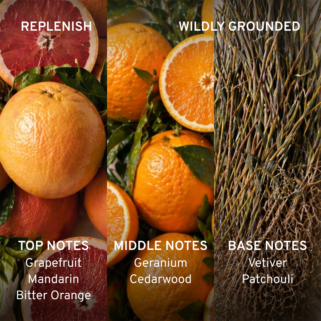 Replenish range showing oranges, pomegranate, and herbs with notes on top, middle, and base notes of a fragrance.