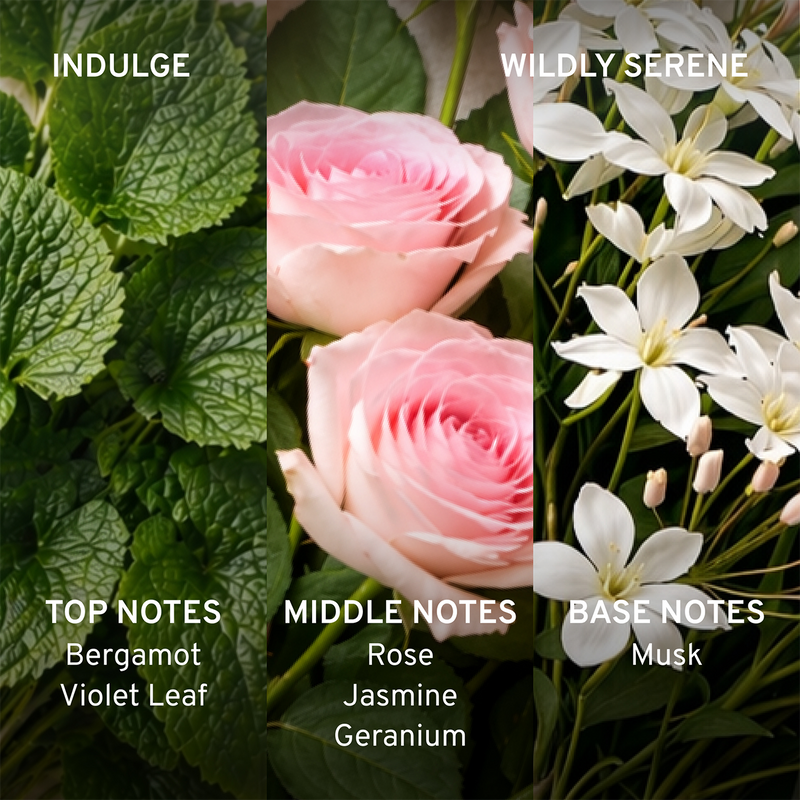 Three sections of flowers labeled 'Indulge', 'Wildly Serene', with notes on top, middle, and base notes.