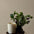 Relax Room Candle