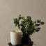 Relax Room Candle