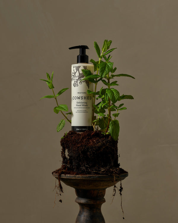 Restore Exfoliating Hand Wash