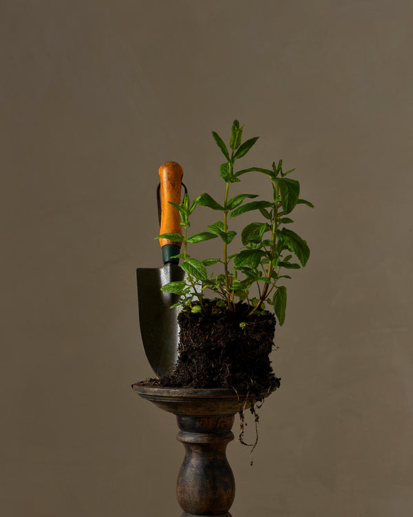 Restore Exfoliating Hand Wash