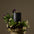 Sleep Candle