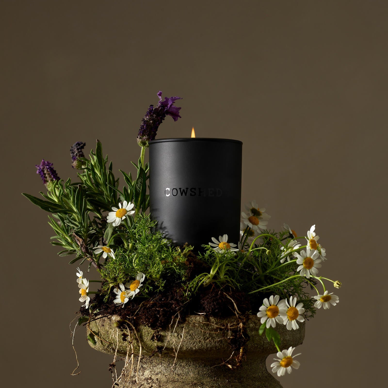Black candle with 'COWSHED' branding surrounded by flowers and greenery on a brown background