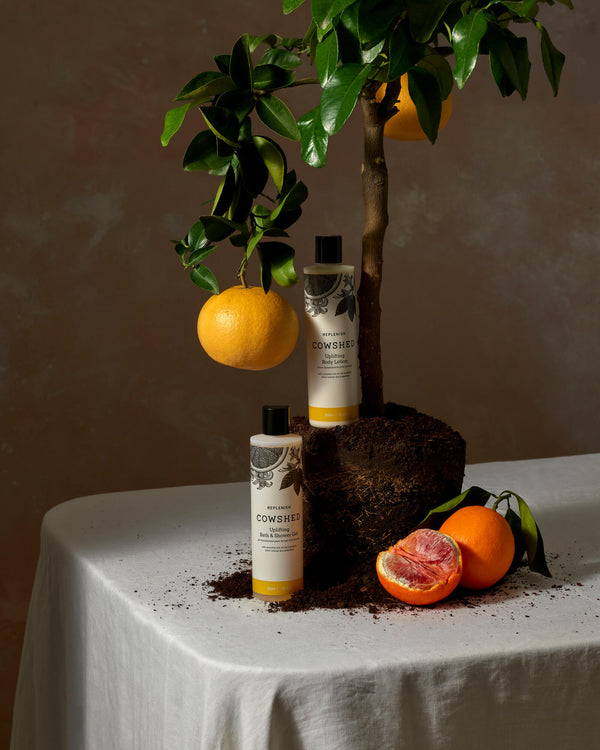 Bath and Body Duo Replenish