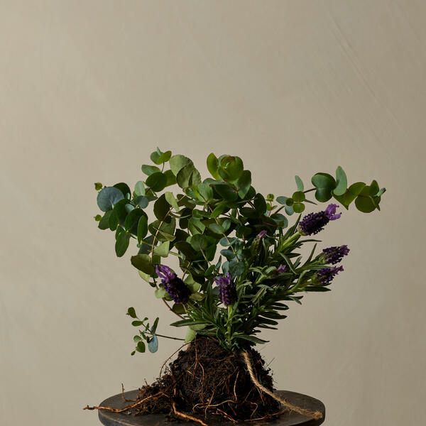 Relax Bath & Shower Gel