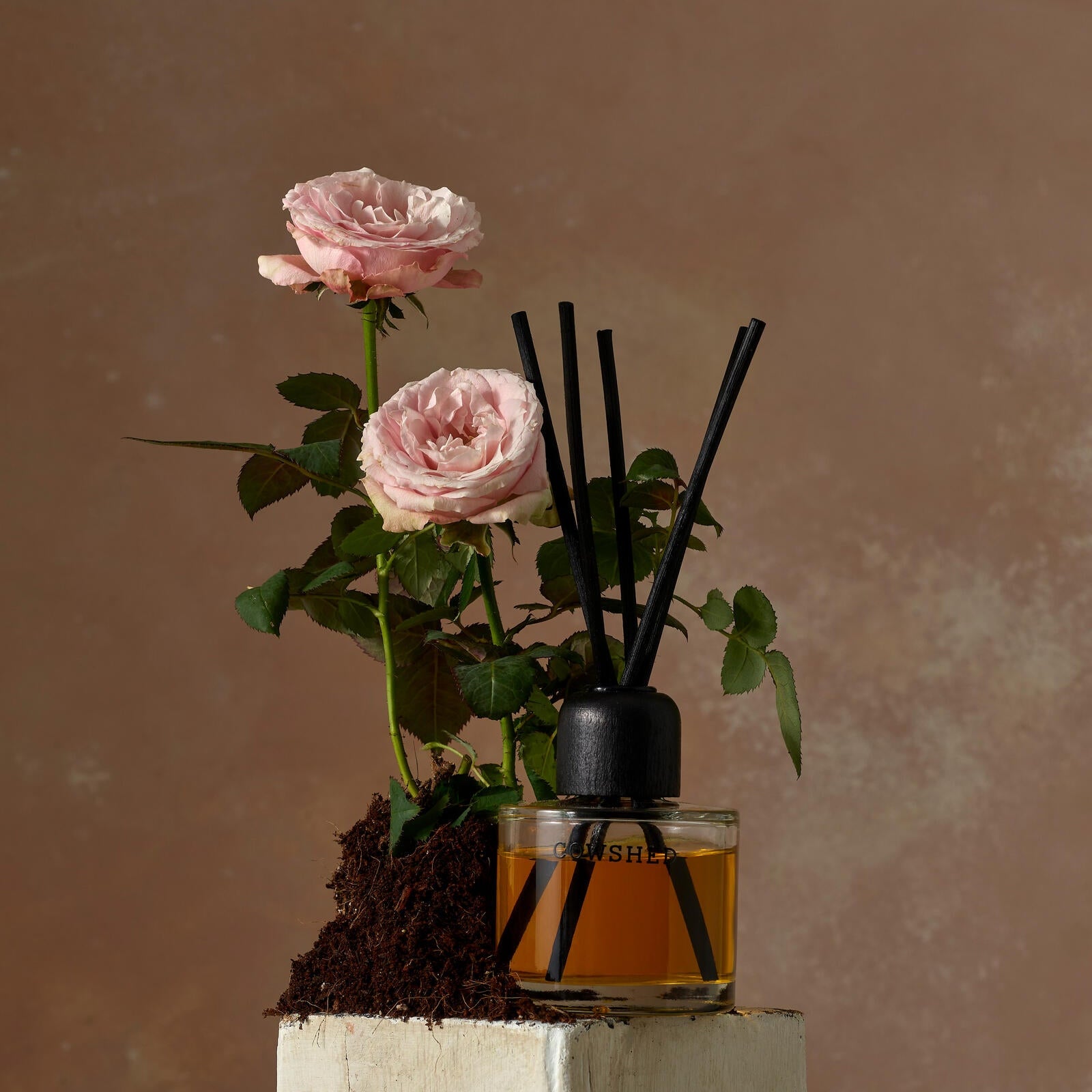 Indulge Diffuser