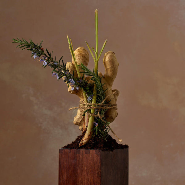 Active Bath & Shower Gel