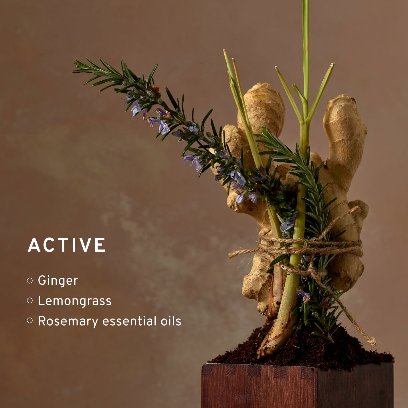 Active Lemongrass & Ginger Reed Diffuser