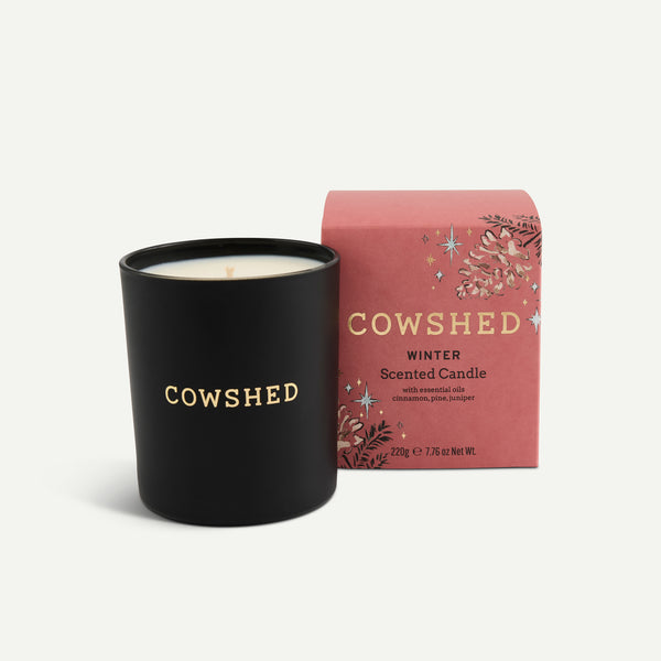 Winter Home Fragrance Set