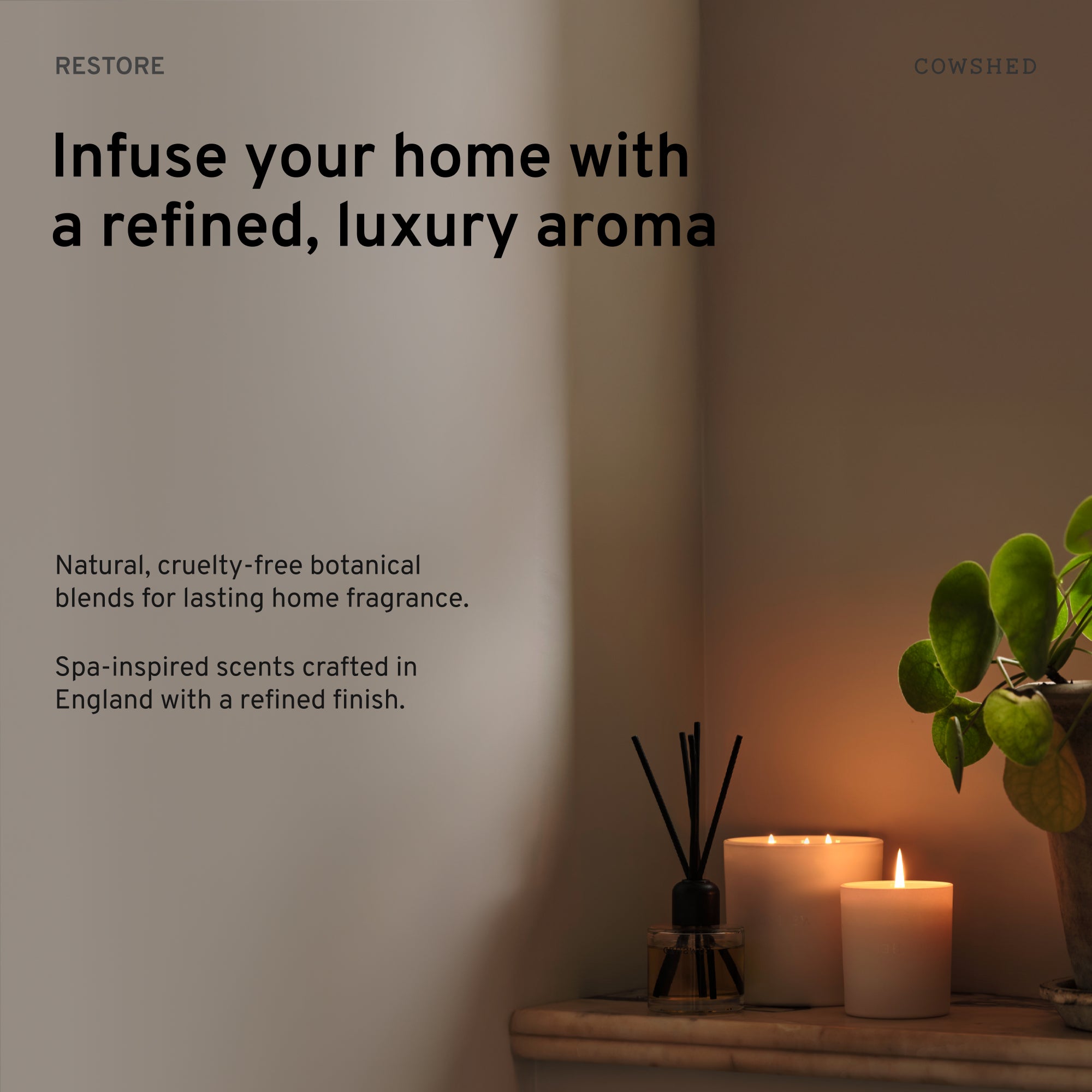 Restore Sweet Orange & Peppermint Reed Diffuser