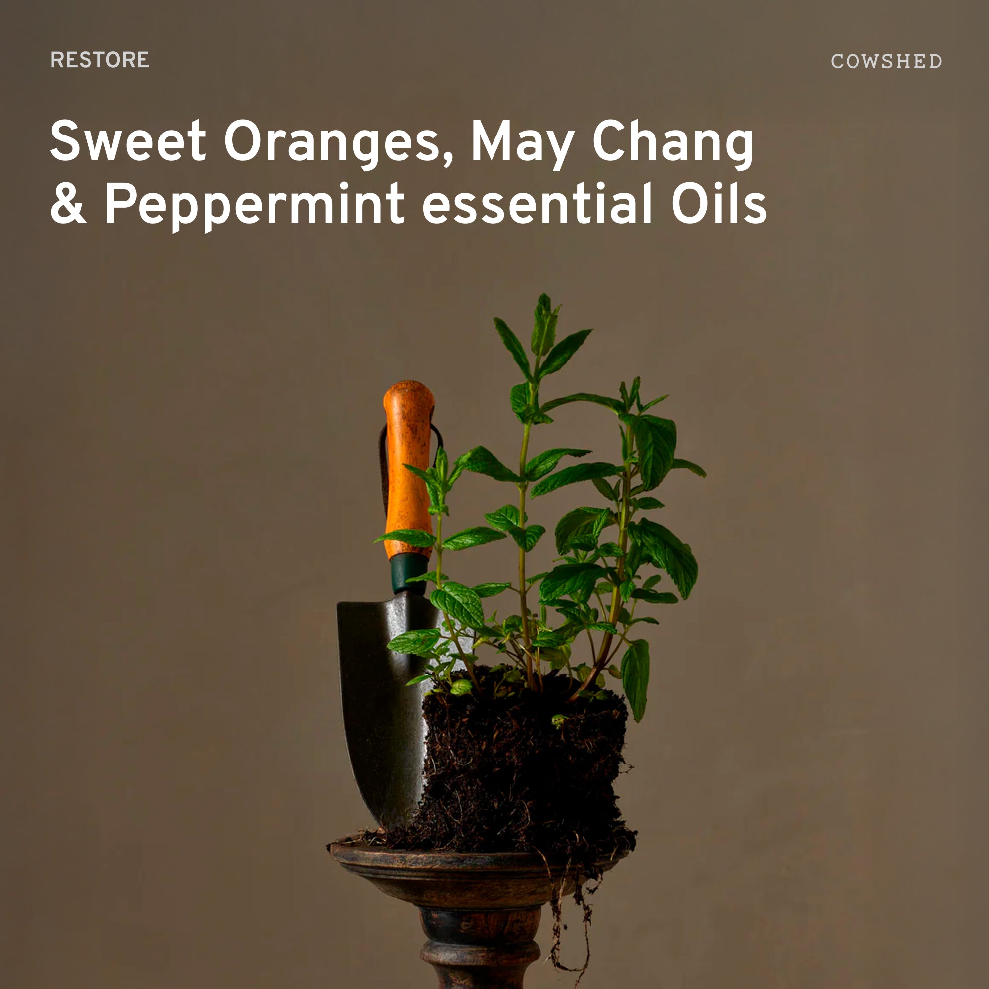 Restore Sweet Orange & Peppermint Reed Diffuser