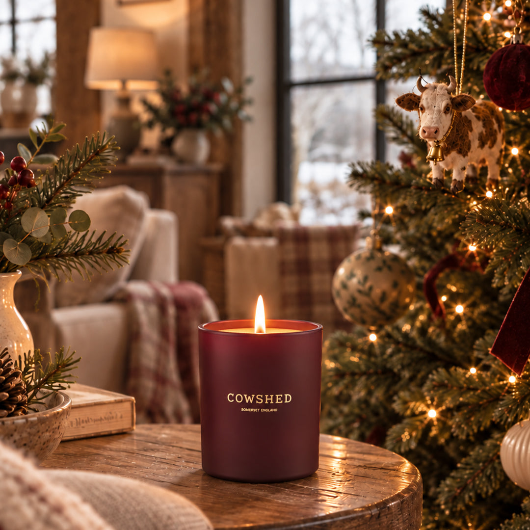 The Log Cabin Winter Candle - Cinnamon, Pine, Juniper