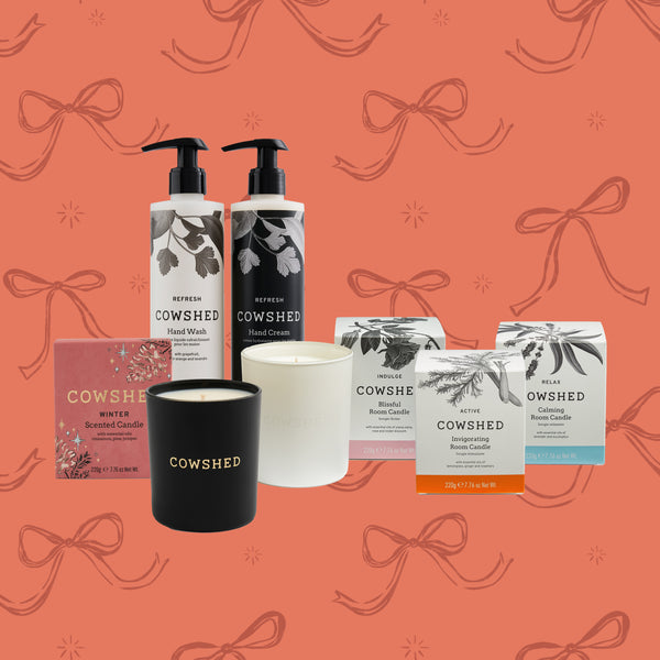 The Coming Home for Christmas Set