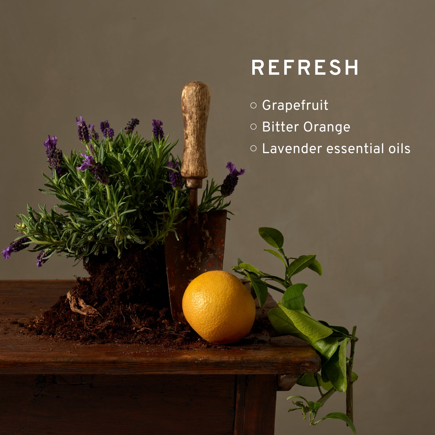 Refresh Grapefruit & Bitter Orange Reed Diffuser