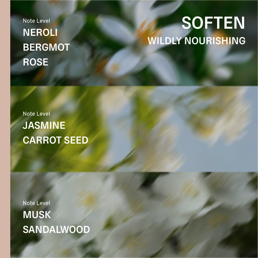 Soften Conditioner - Neroli, Jasmine, Sandalwood