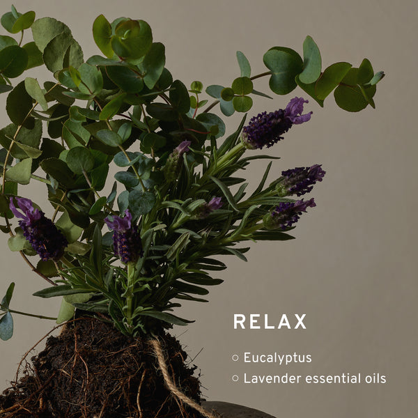 Candle and Diffuser Set Relax