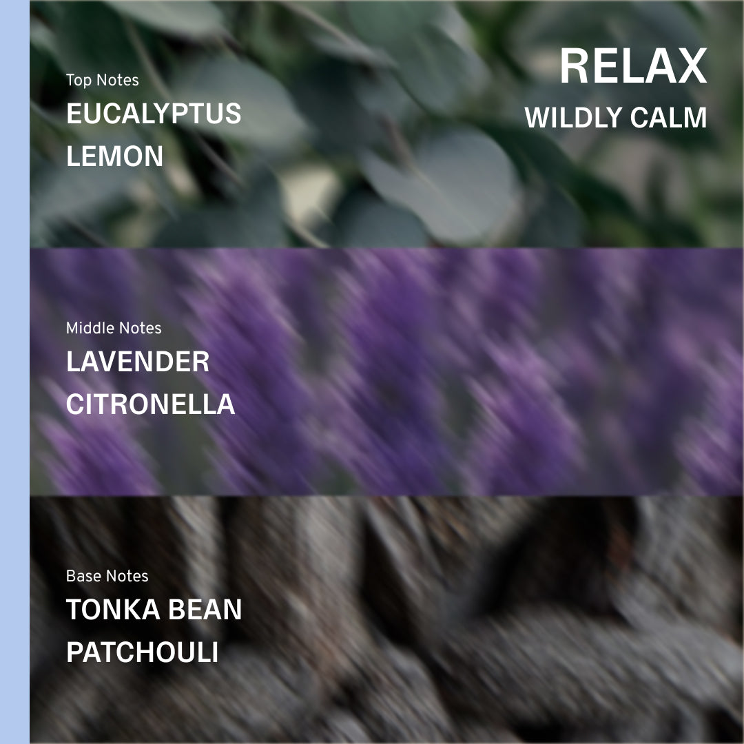 Signature Hand & Body Gift Set - Mint, Lavender
