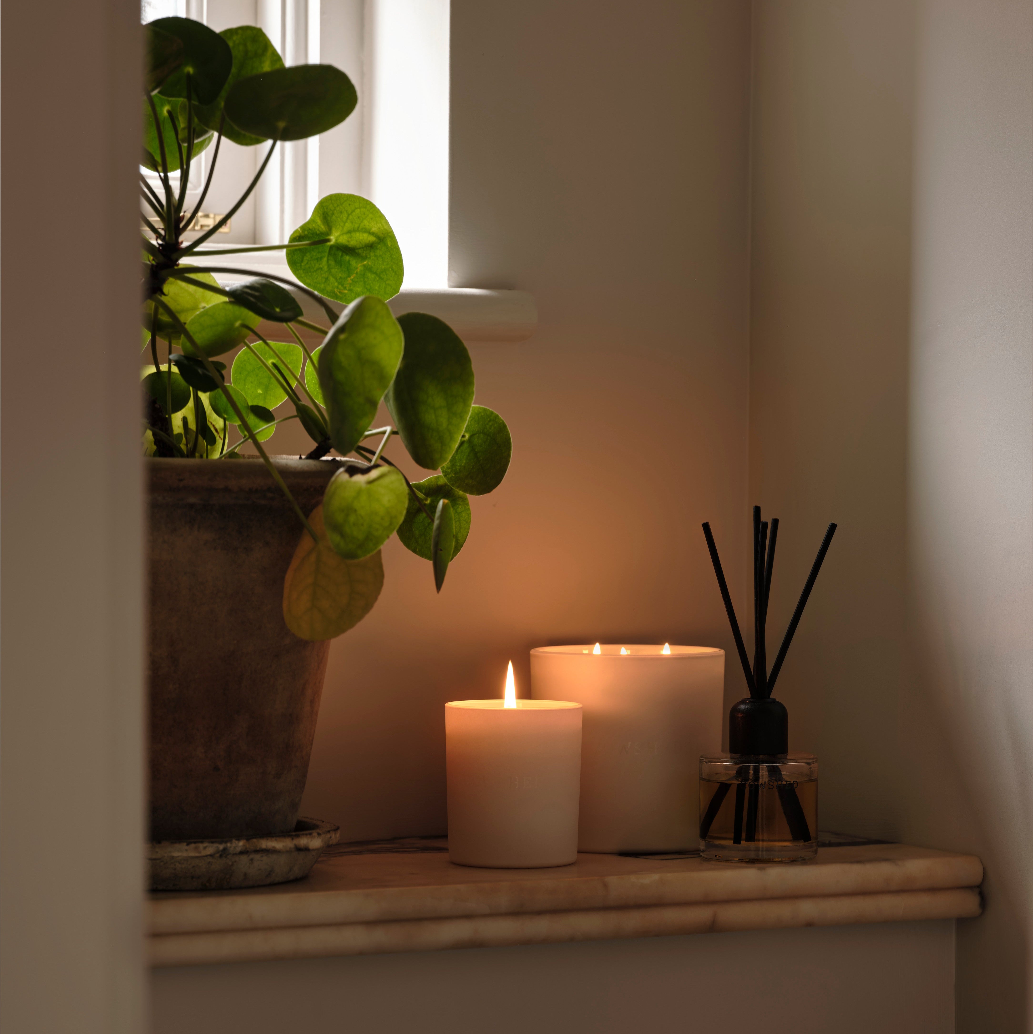 Replenish Red Mandarin & Grapefruit Reed Diffuser