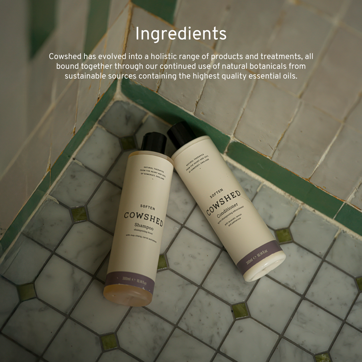 Soften Shampoo