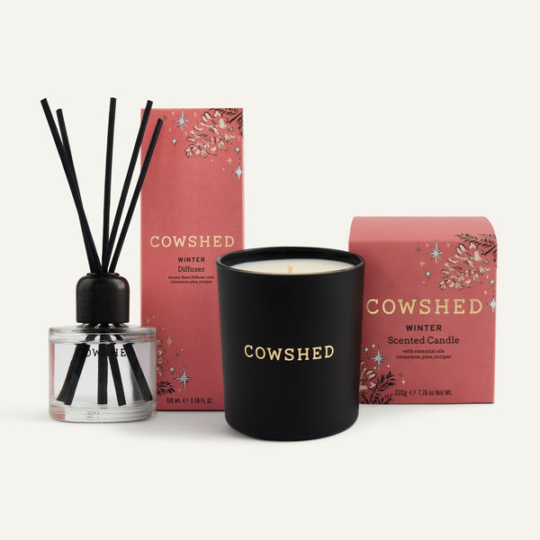 Winter Home Fragrance Set