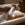 Thoughtfully Natural Ingredients, Untamed Benefits